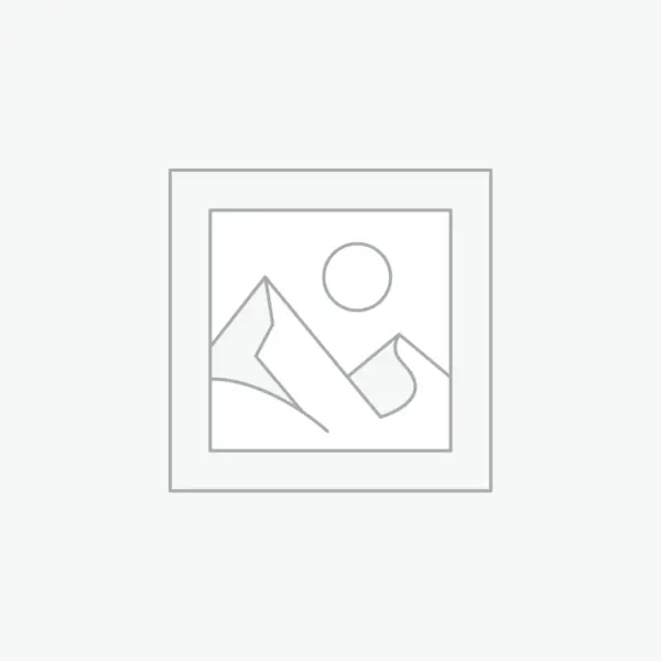 914100200 Palace One ручной душ